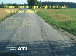 Kommuner trenger vegtekniske råd – for å spare penger