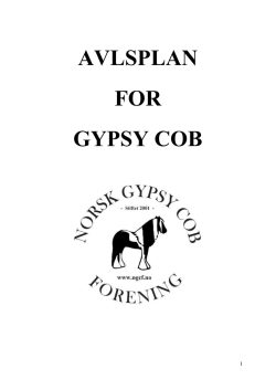 AVLSPLAN FOR GYPSY COB