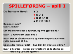 Spill I - Bridge for Alle