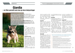 Giardia - Evidensia Nannestad og Gjerdrum Dyreklinikk