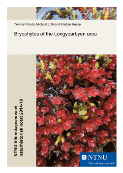 What are bryophytes?