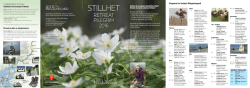 STILLHET - retreat- pilegrim -2016