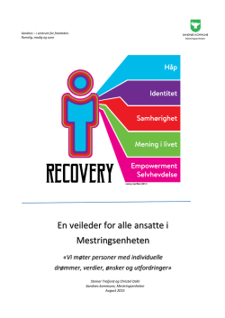 Recovery - en veileder for alle ansatte i Mestringsenheten
