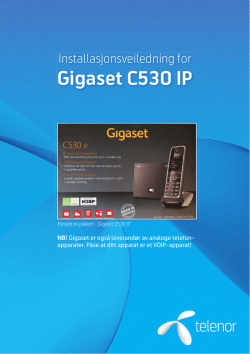 Gigaset C530 IP