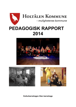 PEDAGOGISK RAPPORT 2014