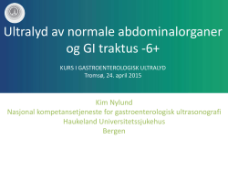 Ultralyd normale abdominalorganer og 6+ (pdf