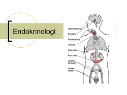 Endokrinologi foredrag