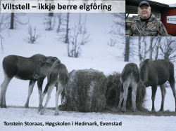 Viltstell - anna enn elgfôring_Torstein Storås