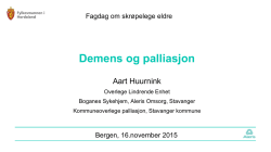 Demens og palliasjon - Aart Huurnink
