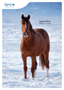 Agria Hest - Agria Dyreforsikring