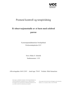 5.6 postural kontroll og terapiridning