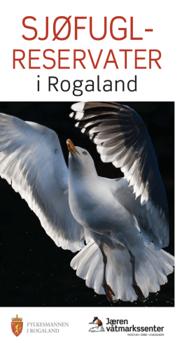 Sjøfuglreservater i Rogaland