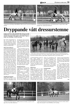 Artikkel Møre – Dryppande vått dressurstemne