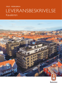 Leveransebeskrivelse
