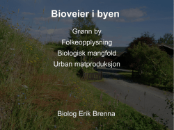 Bioveier i byen