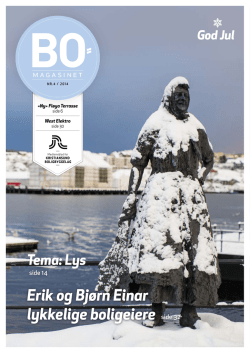 Erik og Bjørn Einar lykkelige boligeiere Tema: Lys