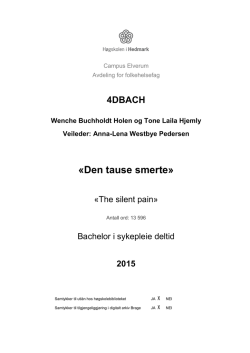 &laquo;Den tause smerte&raquo;