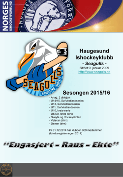 Sponsorpresentasjon av Haugesund Ishockeyklubb 2015/16