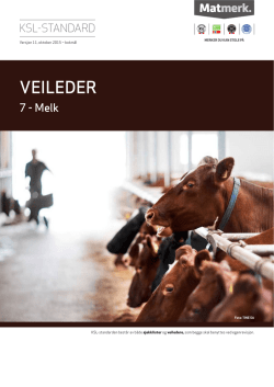 Veileder 7 Melk -bm. - 2015