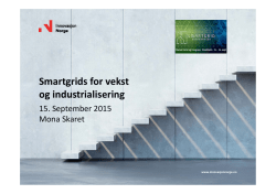 Mona Skaret_Innovasjon Norge