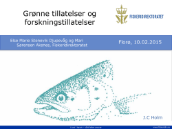Fiskeridirektoratet Aksnes og Djupevåg