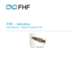 FHF – lakselus
