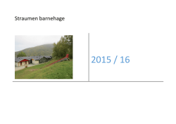 Årsplan for Straumen barnehage 2015/2016
