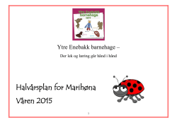Halvårsplan for Marihøna Våren 2015