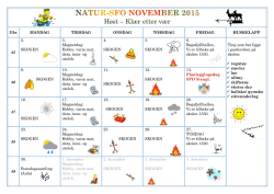 Månedsplan for november for N