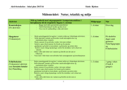 Målområdet: Natur, teknikk og miljø