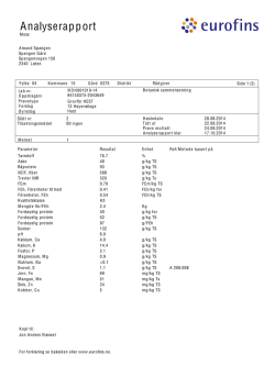 Analyserapport