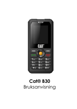 Cat® B30 Bruksanvisning