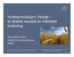 Hveteproduksjon i Norge – et direkte resultat av målrettet