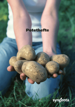 Potethefte