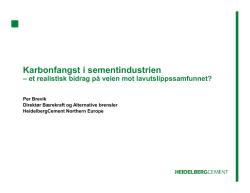 Norcem v/ Dir. for alternativt brensel og bærekraft Per Brevik
