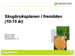 Øystein Nerby - Skogbruksplanen i fremtiden