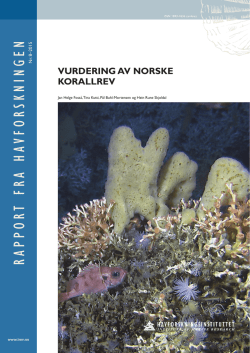 Vurdering av norske korallrev