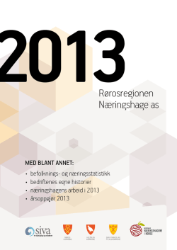 2013R&oslash;rosregionen N&aelig;ringshage as