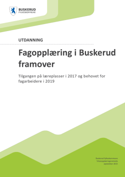 Tilgangen på læreplasser i 2017 og behovet for fagarbeidere i 2019