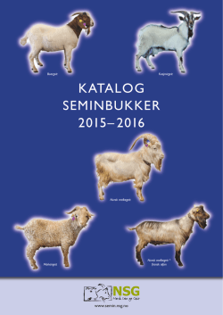 Katalog seminbukker 2015-2016 - NSG Semin