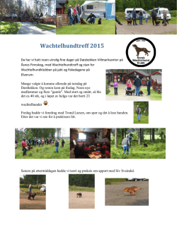 Referat Wachtelhundtreff 2015