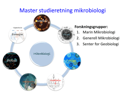 Master Mikrobiologi