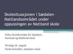 Skolesituasjonen i Sædalen – Nattlandområder under oppussingen