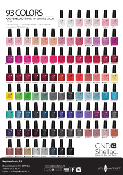 Fargekart CND Shellac 93 farger