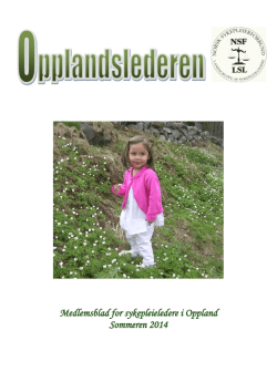 Sommernummer 2014 - Norsk Sykepleierforbund