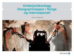 2_ Øyvind Engelstad Designprinsipper i Norge og internasjonalt