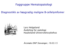 Faggruppe hematopatologi Helgeland Stavanger