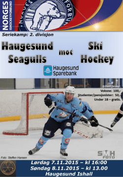Seagulls@Ski_Hockey_7_8_11 - Haugesund Ishockeyklubb