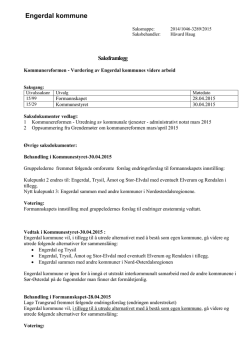 Saksframlegg -- Vurdering av Engerdal kommunes videre arbeid