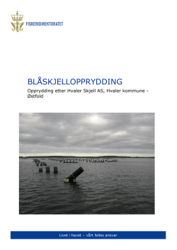 BLÅSKJELLOPPRYDDING - Fiskeridirektoratet